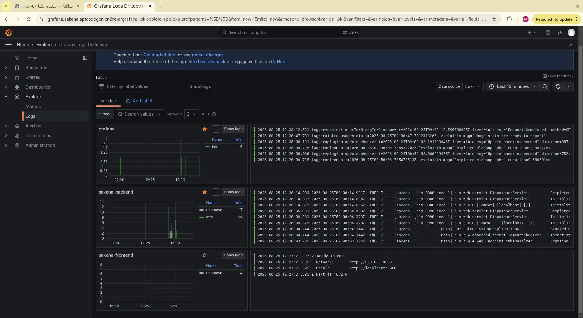 Grafana Loki logs drilldown for Sakena services